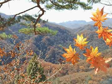 刘劲松分别约见泰国、缅甸驻华大使，就共同打击跨境电诈犯罪表达关切并做工作